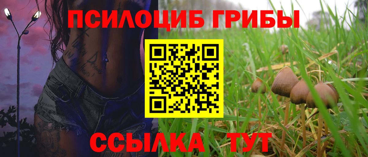 Россия  Псилоцибиновые грибы Psilocybine cubensis  Вход с VPN  Галлюциногенные грибы мухоморы 